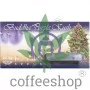 Семена конопли PURPLE KUSH® feminized от Buddha Seeds
